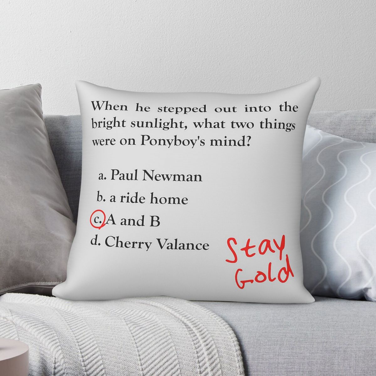 Outsiders Ponyboy Quiz Questio - Home Decor Quiz Free ulasan dan harga