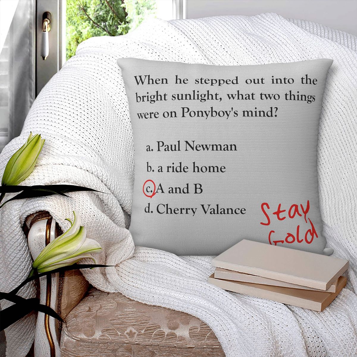 Outsiders Ponyboy Quiz Questio - Home Decor Quiz Free ulasan dan harga