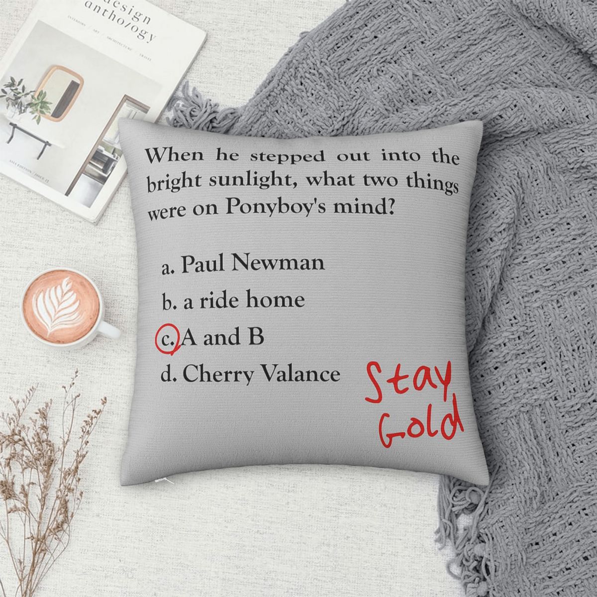 Outsiders Ponyboy Quiz Questio - Home Decor Quiz Free ulasan dan harga